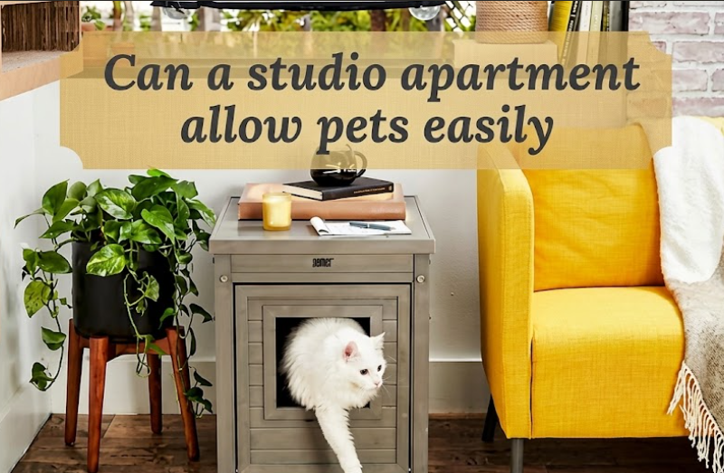 Can a studio apartment allow pets easily