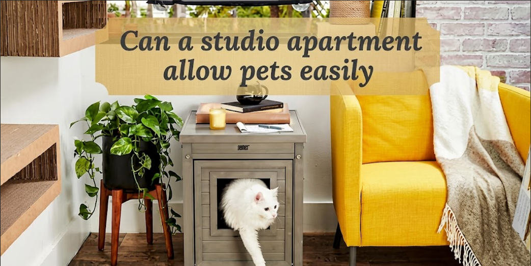 Can a studio apartment allow pets easily