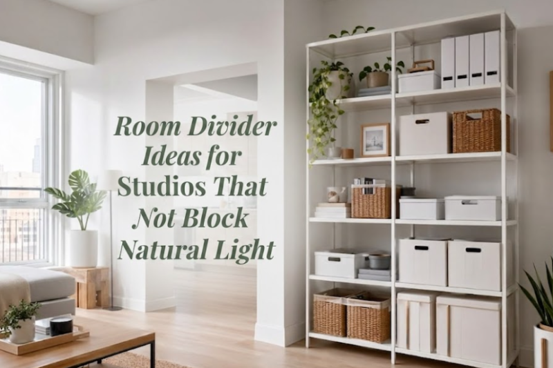 Room Divider Ideas for Studios That Do Not Block Natural Light