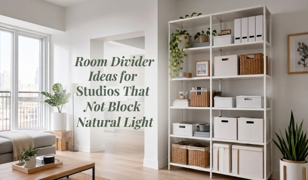 Room Divider Ideas for Studios That Do Not Block Natural Light